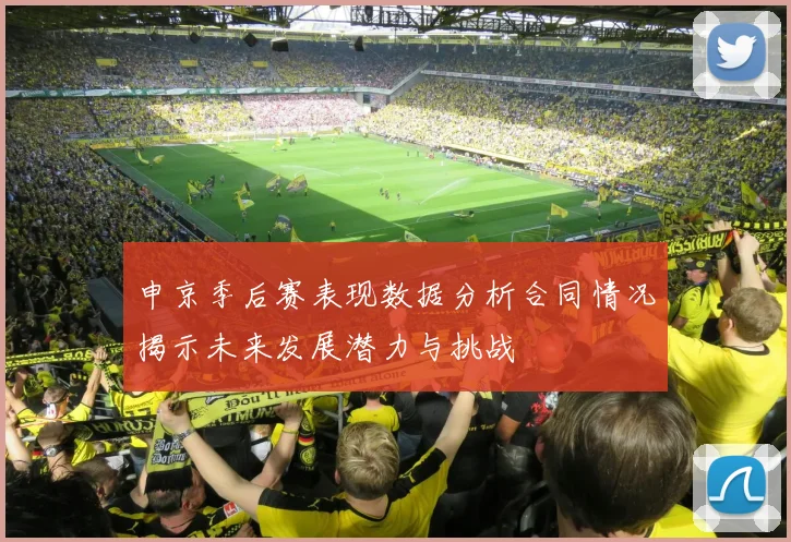 申京季后赛表现数据分析合同情况揭示未来发展潜力与挑战