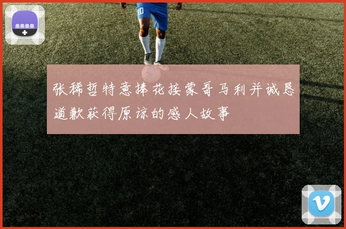 张稀哲特意捧花接蒙哥马利并诚恳道歉获得原谅的感人故事