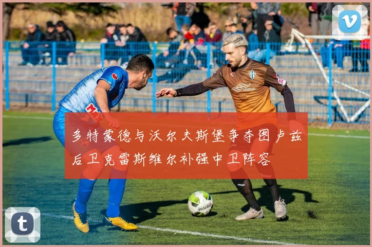 多特蒙德与沃尔夫斯堡争夺图卢兹后卫克雷斯维尔补强中卫阵容
